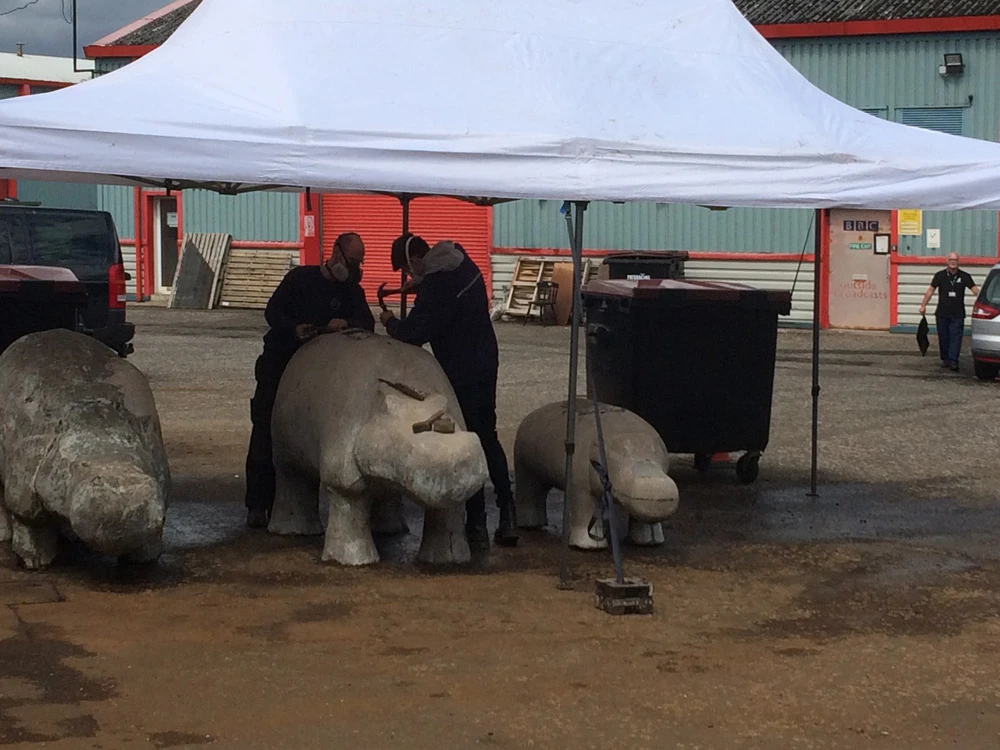 Anderston Hippos, 2017