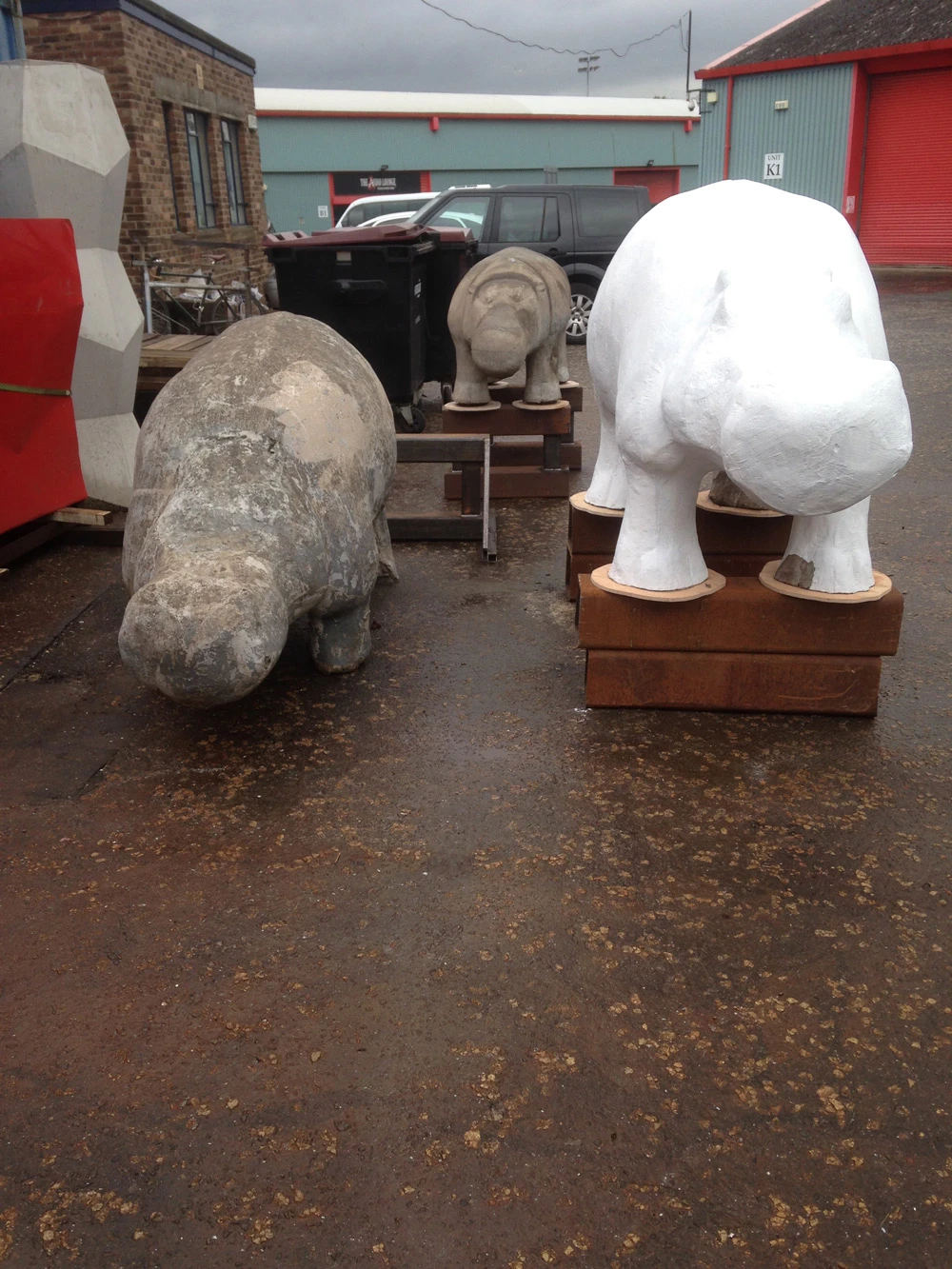 Anderston Hippos, 2017