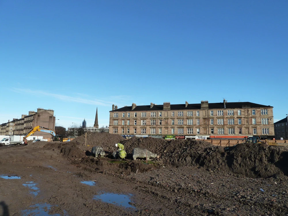 Anderston Hippos, 2017