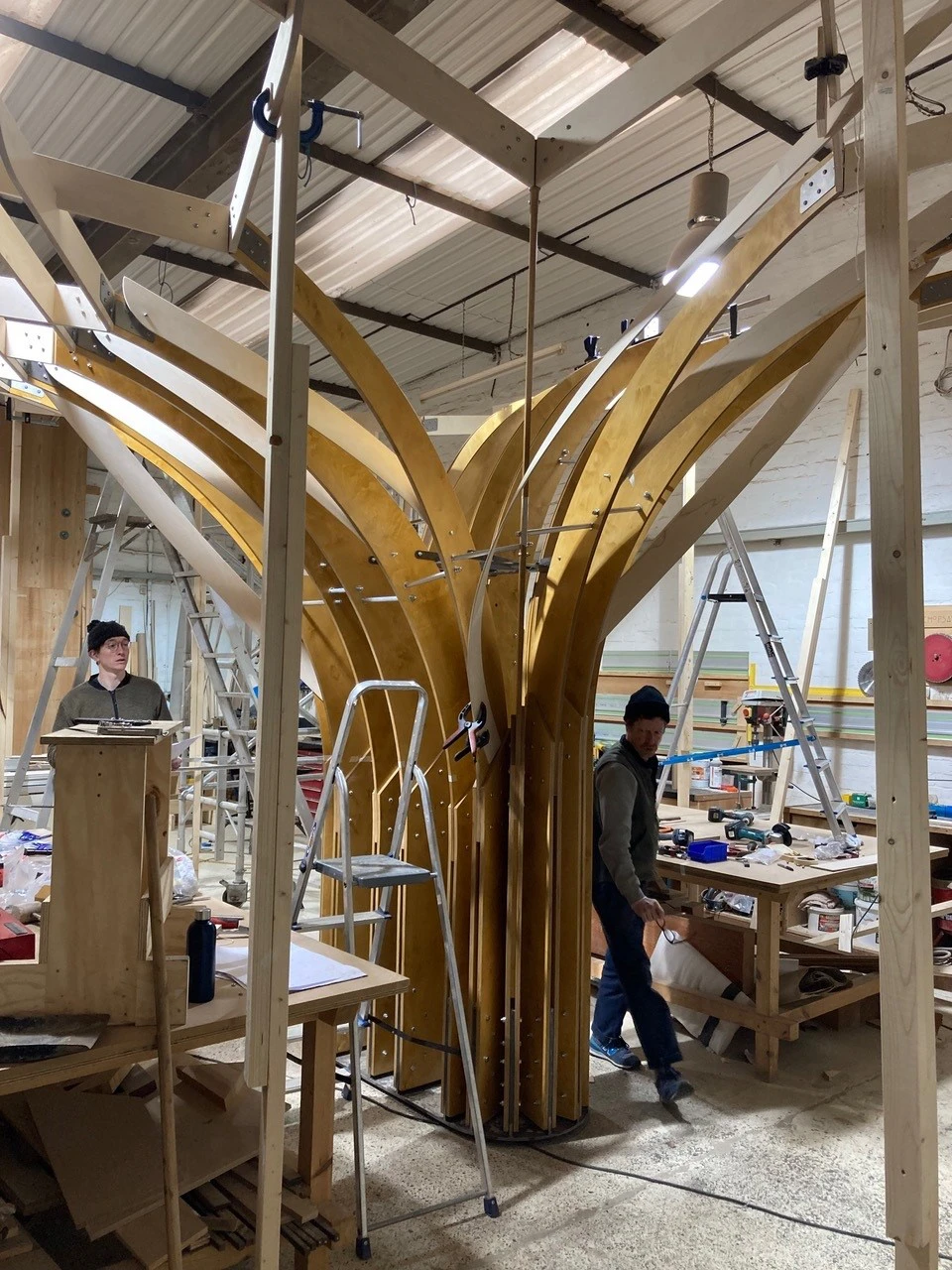 Fever Tree, Stained & Lacquered Birch Plywood & Bespoke Steel Connectors, 2022