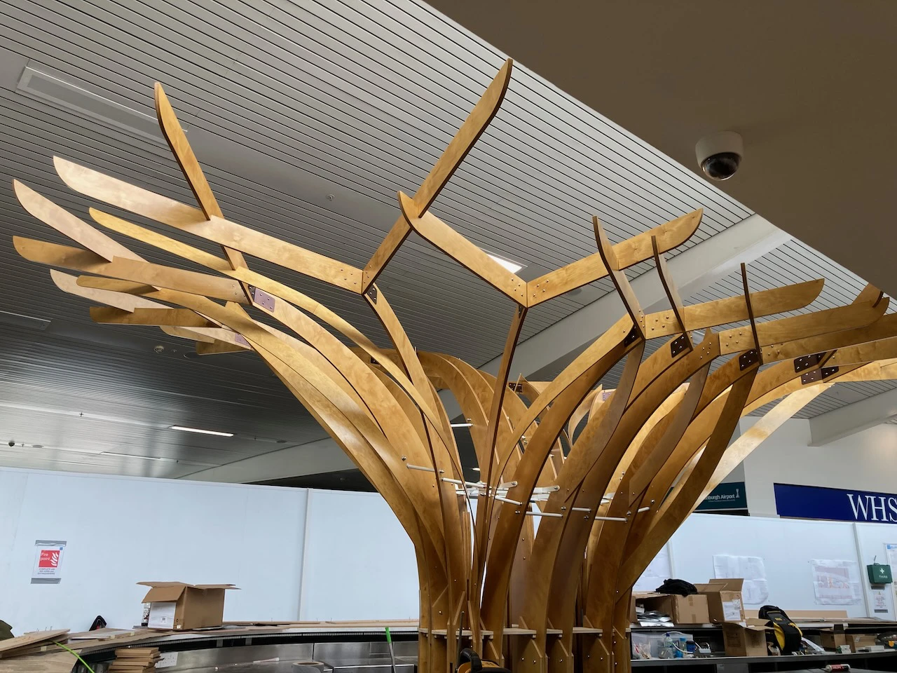 Fever Tree, Stained & Lacquered Birch Plywood & Bespoke Steel Connectors, 2022